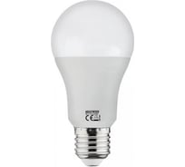 Светодиодная лампа HOROZ ELECTRIC PREMIER-15 15W 6400K E27 175-250V 001-006-0015 HRZ33002804