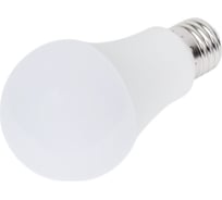 Светодиодная лампа HOROZ ELECTRIC PREMIER-12 12W 6400K E27 175-250V 001-006-0012 HRZ00000019