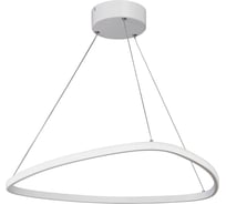 Светодиодный светильник Vitaluce V4624-0/1S