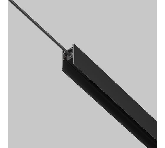 Ввод питания MAYTONI Exility черный TRA034B-42B-1