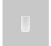 Матовый рассеиватель MAYTONI для Focus Led 5Вт RingMAcr-5-W