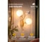 Бра ARTE LAMP CAMOMILLA A9712AP-2SG 8