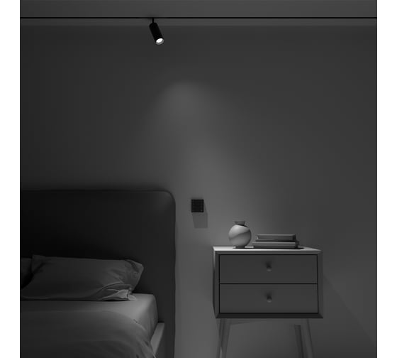 Беспроводная панель управления освещением MAYTONI Lighting control DRC034-8-B