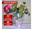 Гирлянда Neon-Night Роса с прищепкой 3м, 30LED мультиколор, IP20, 2хCR2032 в комплекте 302-019 3