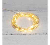 Гирлянда Neon-Night Роса, 5м, 50 LED теплый белый, IP20, USB 315-966