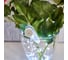 Гирлянда Neon-Night Роса с прищепкой 3м, 30 LED белый, IP20, 2хCR2032 в комплекте 302-015 6