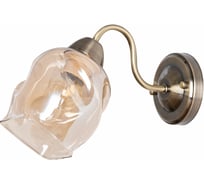 Настенный светильник Arte Lamp A7758AP-1AB
