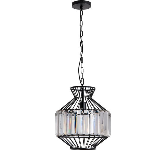 Подвесной светильник Arte Lamp A1789SP-1BK