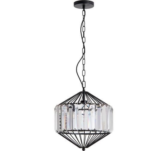 Подвесной светильник Arte Lamp A1790SP-1BK