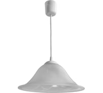 Подвесной светильник Arte Lamp A6430SP-1WH