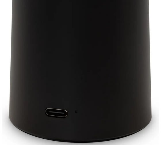 Аккумуляторный светильник Freya Mushroom Черный FR6109TL-L4B