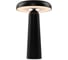 Аккумуляторный светильник Freya Mushroom Черный FR6109TL-L4B 2
