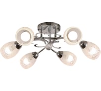 Потолочный светильник Arte Lamp A2004PL-6CC