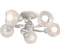 Потолочный светильник Arte Lamp A5028PL-5WH