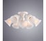 Потолочный светильникArte Lamp A6306PL-8WG 2