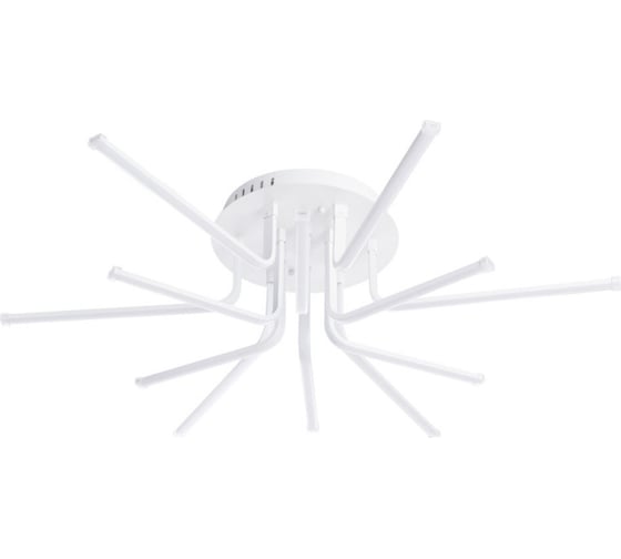 Потолочный светильник Arte Lamp A6207PL-12WH