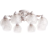 Потолочный светильник Arte Lamp A7695PL-8WG