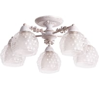 Потолочный светильник Arte Lamp A7695PL-5WG