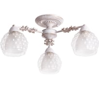 Потолочный светильник Arte Lamp A7695PL-3WG