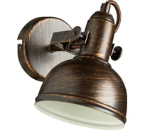 Настенный светильник Arte Lamp A5213AP-1BR