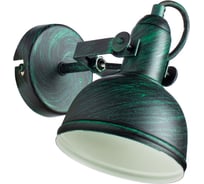 Настенный светильник Arte Lamp A5213AP-1BG