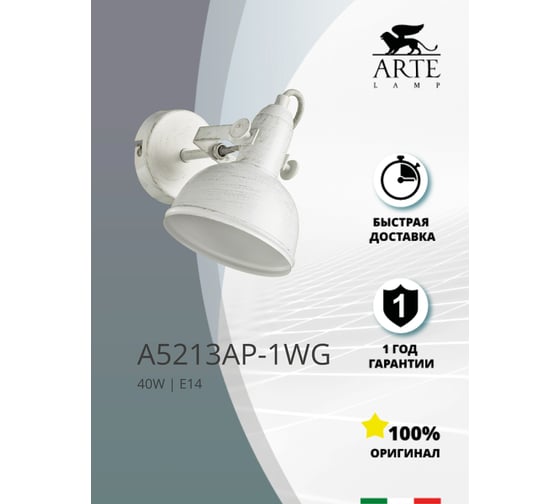 Настенный светильник Arte Lamp A5213AP-1WG