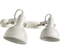 Настенный светильник Arte Lamp A5213AP-2WG