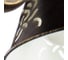 Настенный светильник Arte Lamp A5218AP-1BR 2