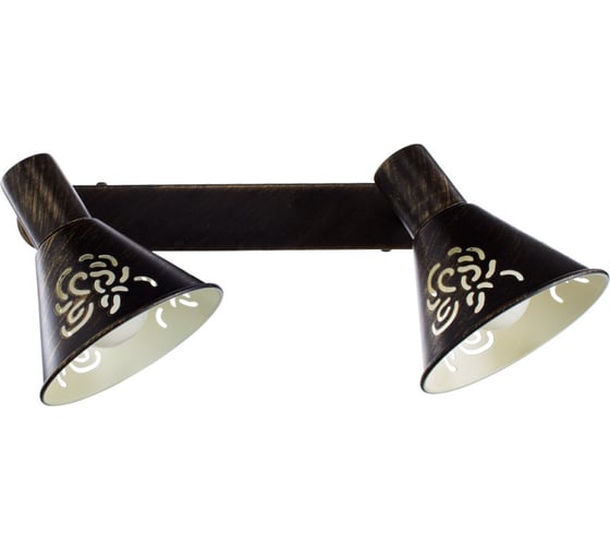 Настенный светильник Arte Lamp A5218AP-2BR