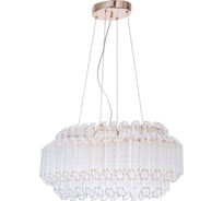 Подвесной светильник Arte Lamp A2848SP-5GO