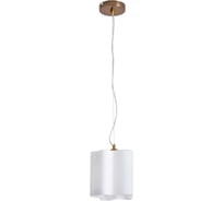 Подвесной светильник Arte Lamp A3459SP-1AB