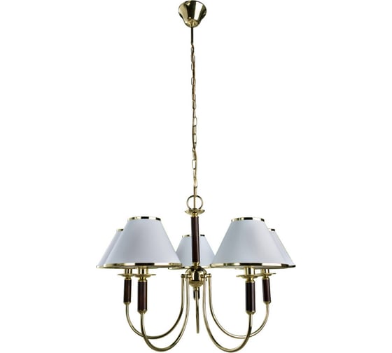 Подвесной светильник Arte Lamp A3545LM-5GO 1