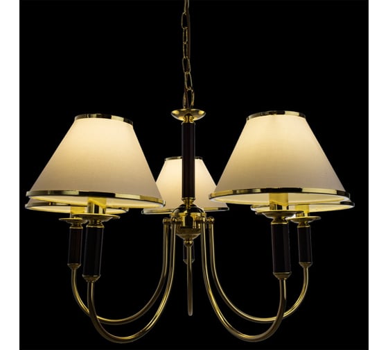 Подвесной светильник Arte Lamp A3545LM-5GO