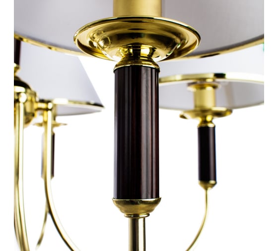 Подвесной светильник Arte Lamp A3545LM-5GO