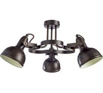 Потолочный светильник Arte Lamp A5216PL-3BR