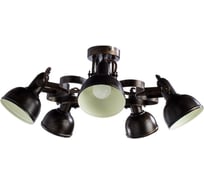 Потолочный светильник Arte Lamp A5216PL-5BR