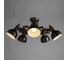 Потолочный светильник Arte Lamp A5216PL-5BR 2