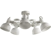 Потолочный светильник Arte Lamp A5216PL-5WG