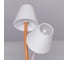 Настольная лампа MW LIGHT Аэлита 480033002 4