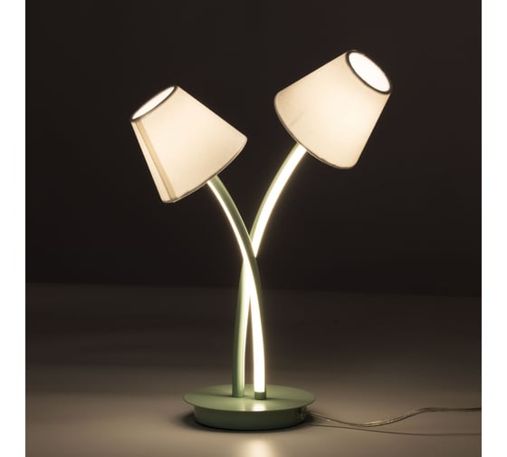 Настольная лампа MW LIGHT Аэлита 480033302
