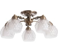 Потолочный светильник Arte Lamp A7695PL-5AB