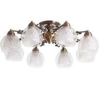 Потолочный светильник Arte Lamp A7695PL-8AB