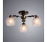 Потолочный светильник Arte Lamp A7695PL-3AB 2