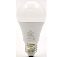 Лампа светодиодная IRS Electrics модель LB-YLCL-04