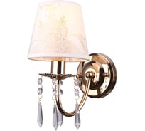 Настенный светильник Arte Lamp A5008AP-1GO