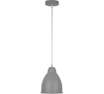 Подвесной светильник Arte Lamp A2054SP-1GY