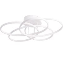 Потолочный светильник Arte Lamp A2521PL-5WH