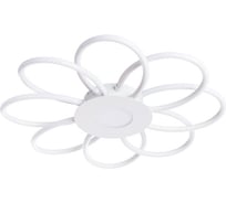 Потолочный светильник Arte Lamp A2528PL-8WH