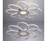 Потолочный светильник Arte Lamp A2528PL-8WH 5