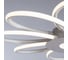Потолочный светильник Arte Lamp A2528PL-8WH 6